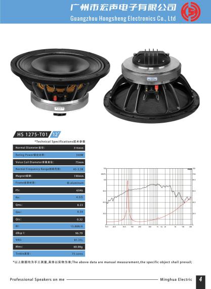 Hongsheng Electronics