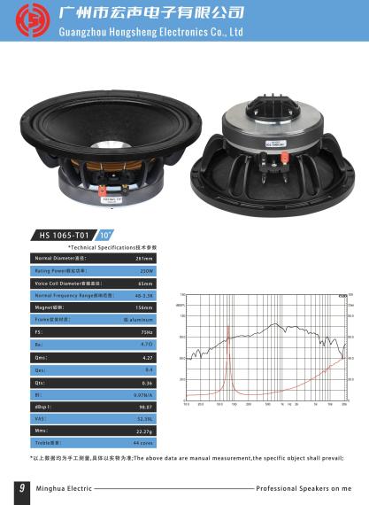 Hongsheng Electronics