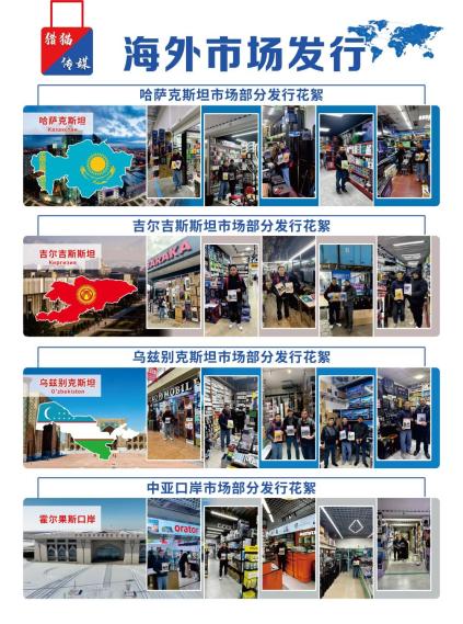 Overseas market issuance